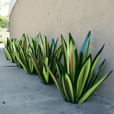 Zenvia | Handmade Agave Garden Lamp