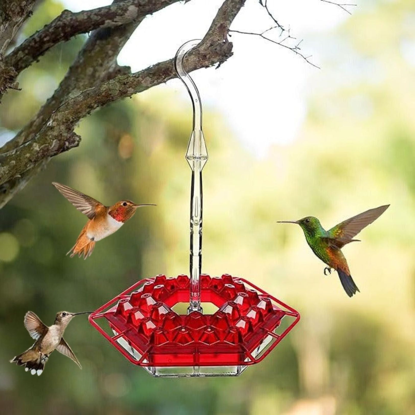 Ant Proof Hummingbird Feeder | Premium Leak-Proof Garden Bird Feeder