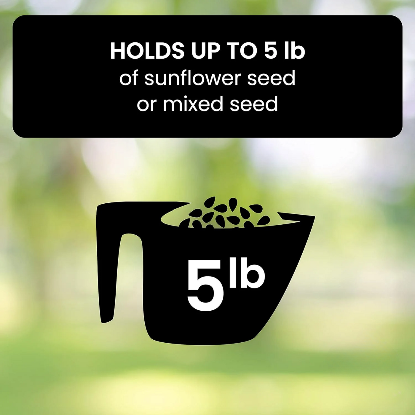 Aviara | Spinning Squirrel-Proof Bird Feeder