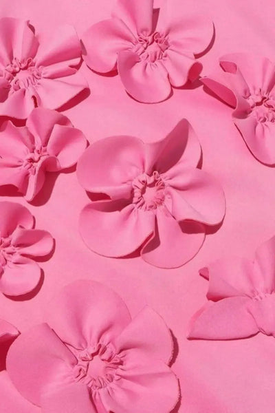 Florienne | Women’s 3D Floral Appliqué Maxi Dress