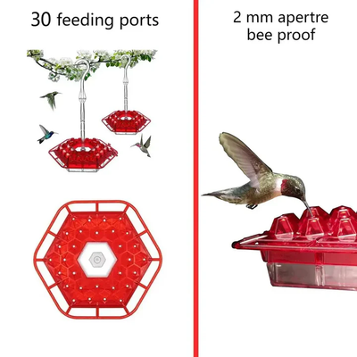 Ant Proof Hummingbird Feeder | Premium Leak-Proof Garden Bird Feeder