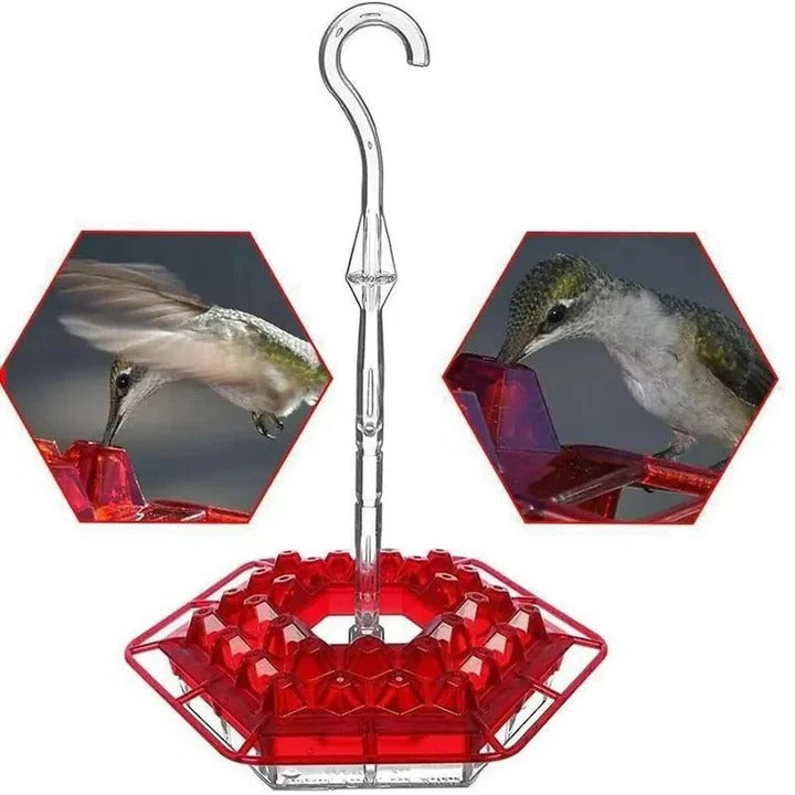 Ant Proof Hummingbird Feeder | Premium Leak-Proof Garden Bird Feeder