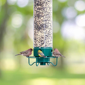 Yankee Flipper | Squirrel-Proof Wild Bird Feeder